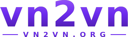 vn2vn logo